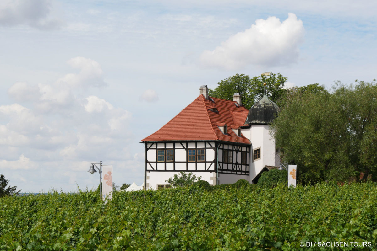 Weingut Hoflößnitz mit Sächsischem Weinbaumuseum