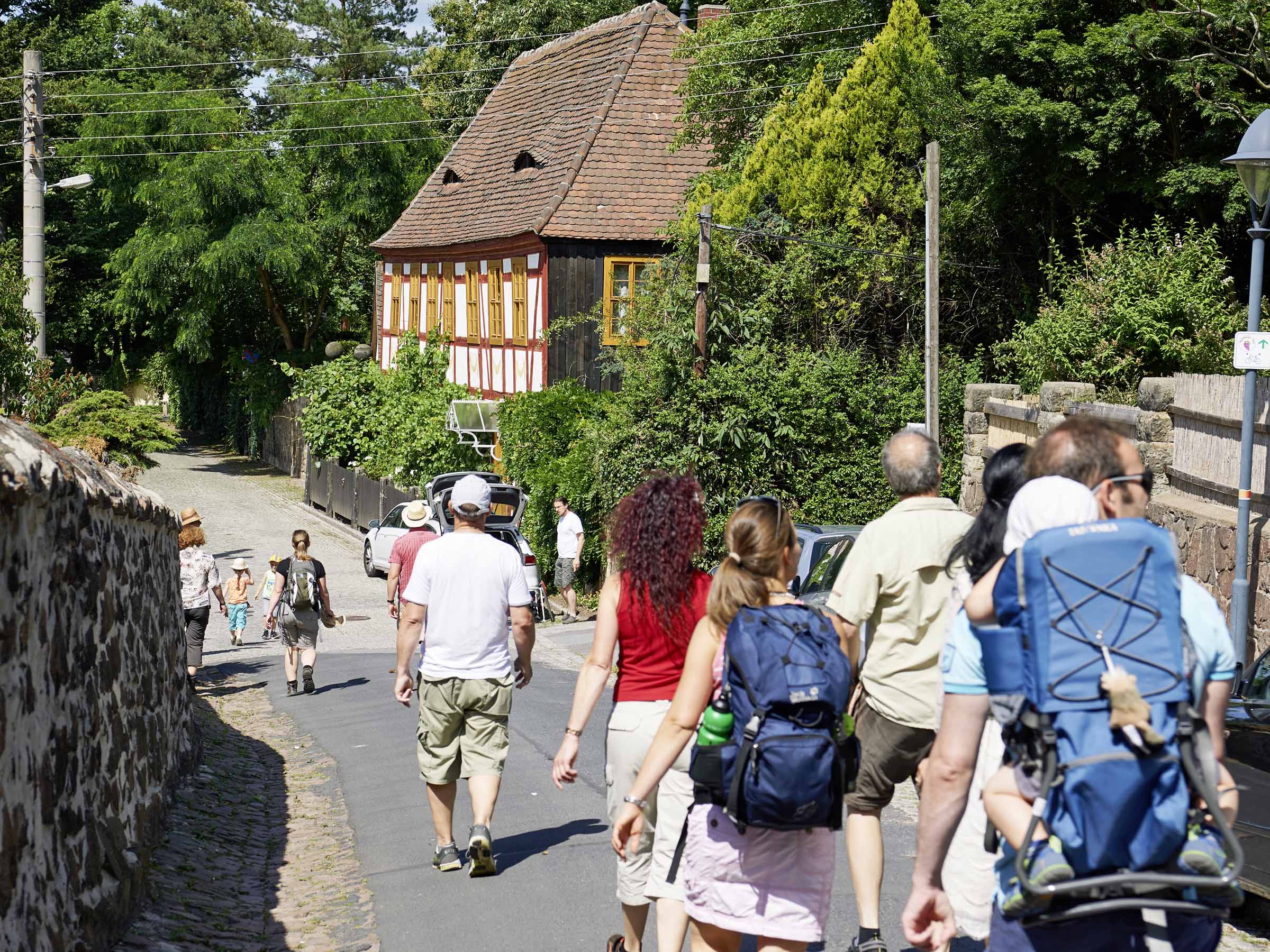 Weinbergwandern Haus Lorenz