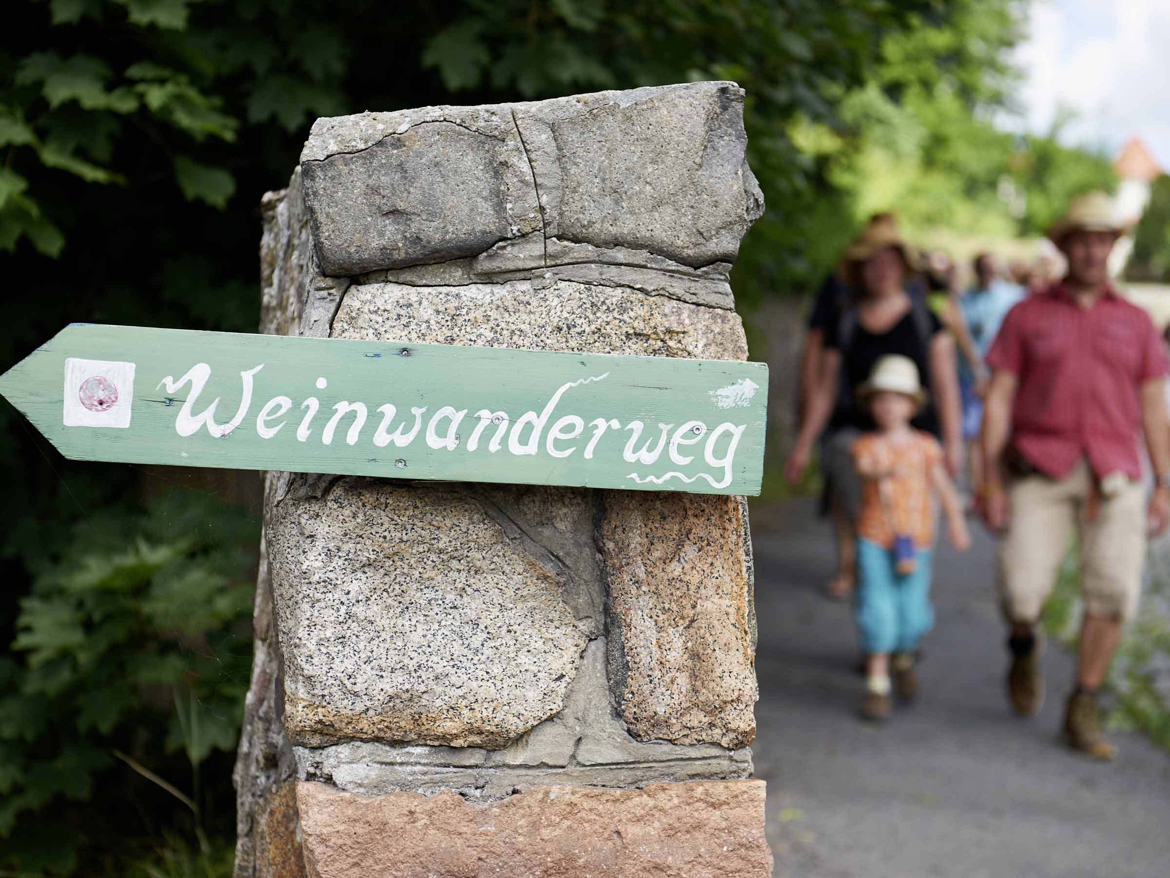 und weiter gehts auf dem Sächsischen Weinwanderweg