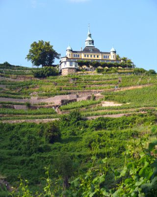 aufgerebt - Spitzhaus in Radebeul