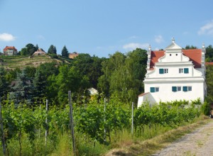 Bennoschlösschen in der Oberlößnitz