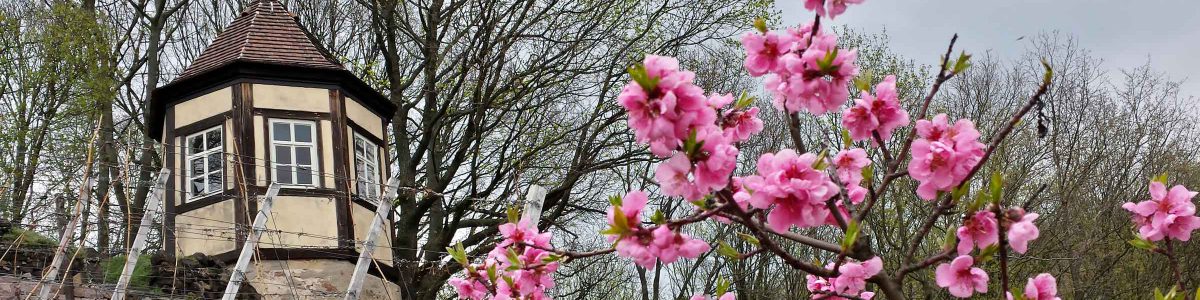 Frühling mit zauberhaften Impressionen