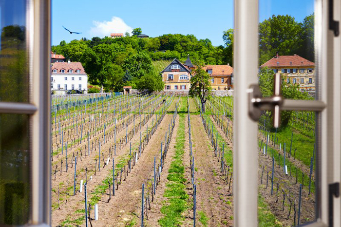 Ausblick aus der Fewo