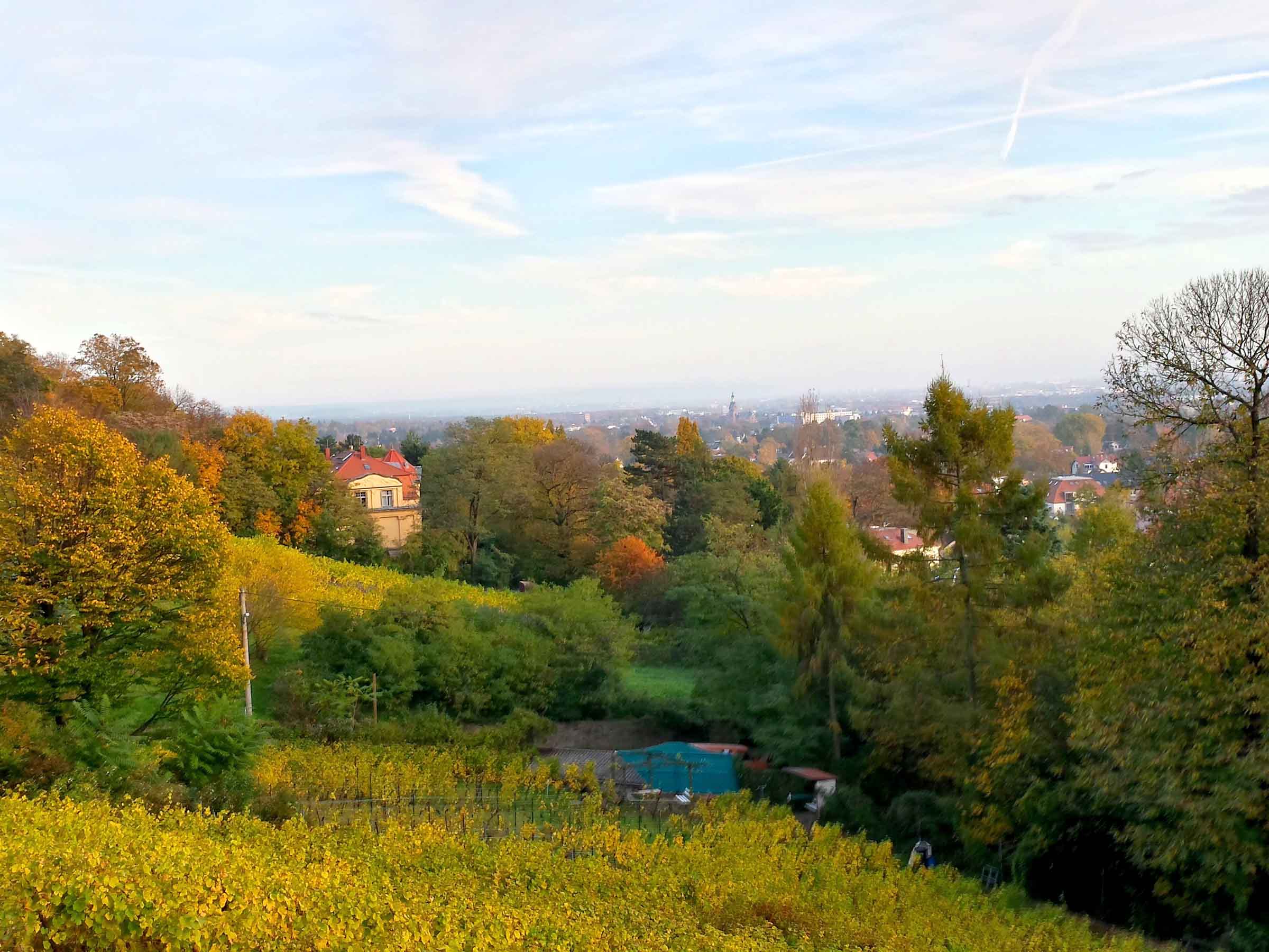 Herbstlicher Blick vom Weinberg