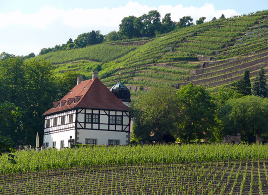 Weingut Hoflößnitz mit Sächsischem Weinbaumuseum