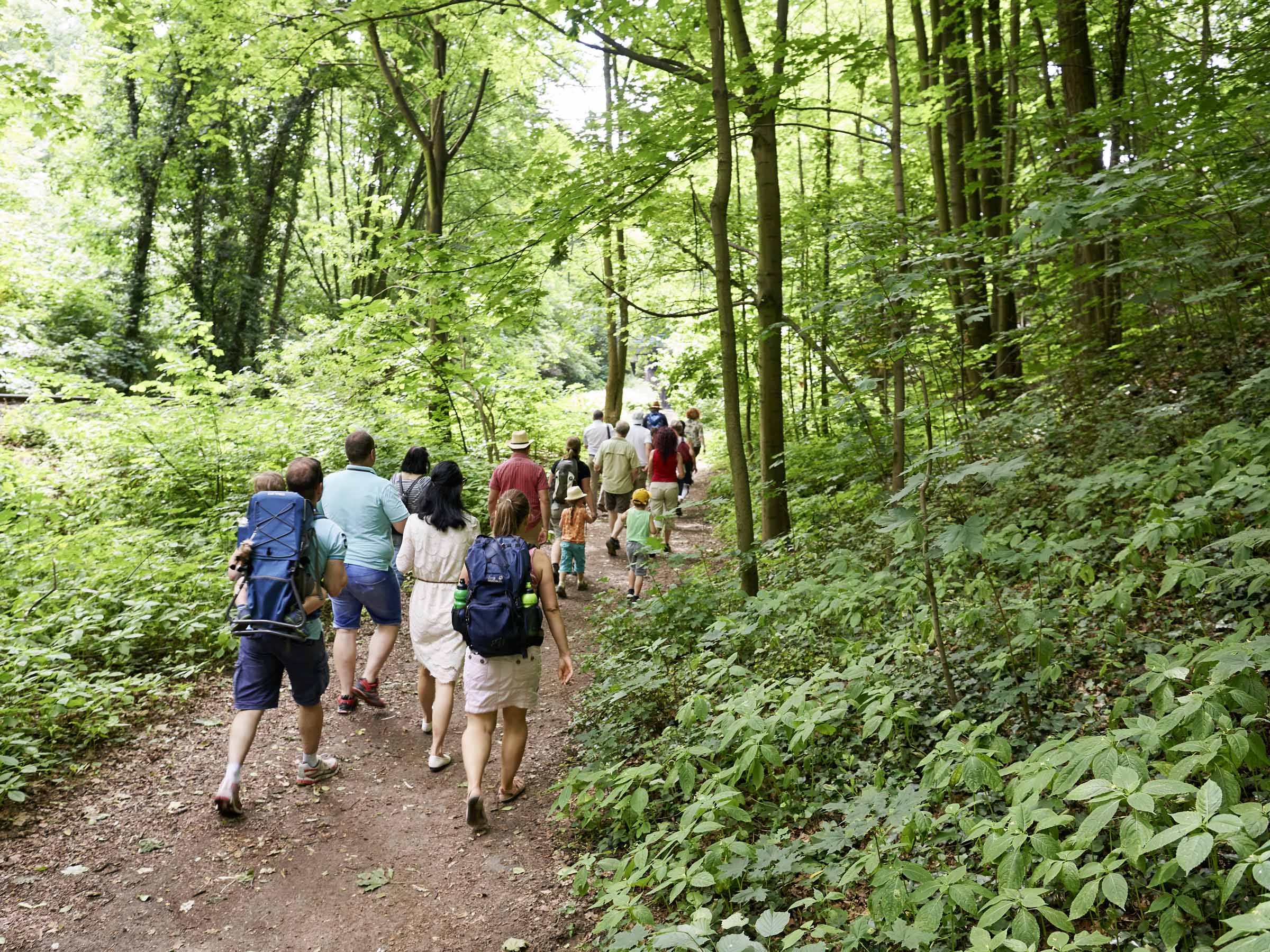 weiter im kühlen Lößnitzgrund