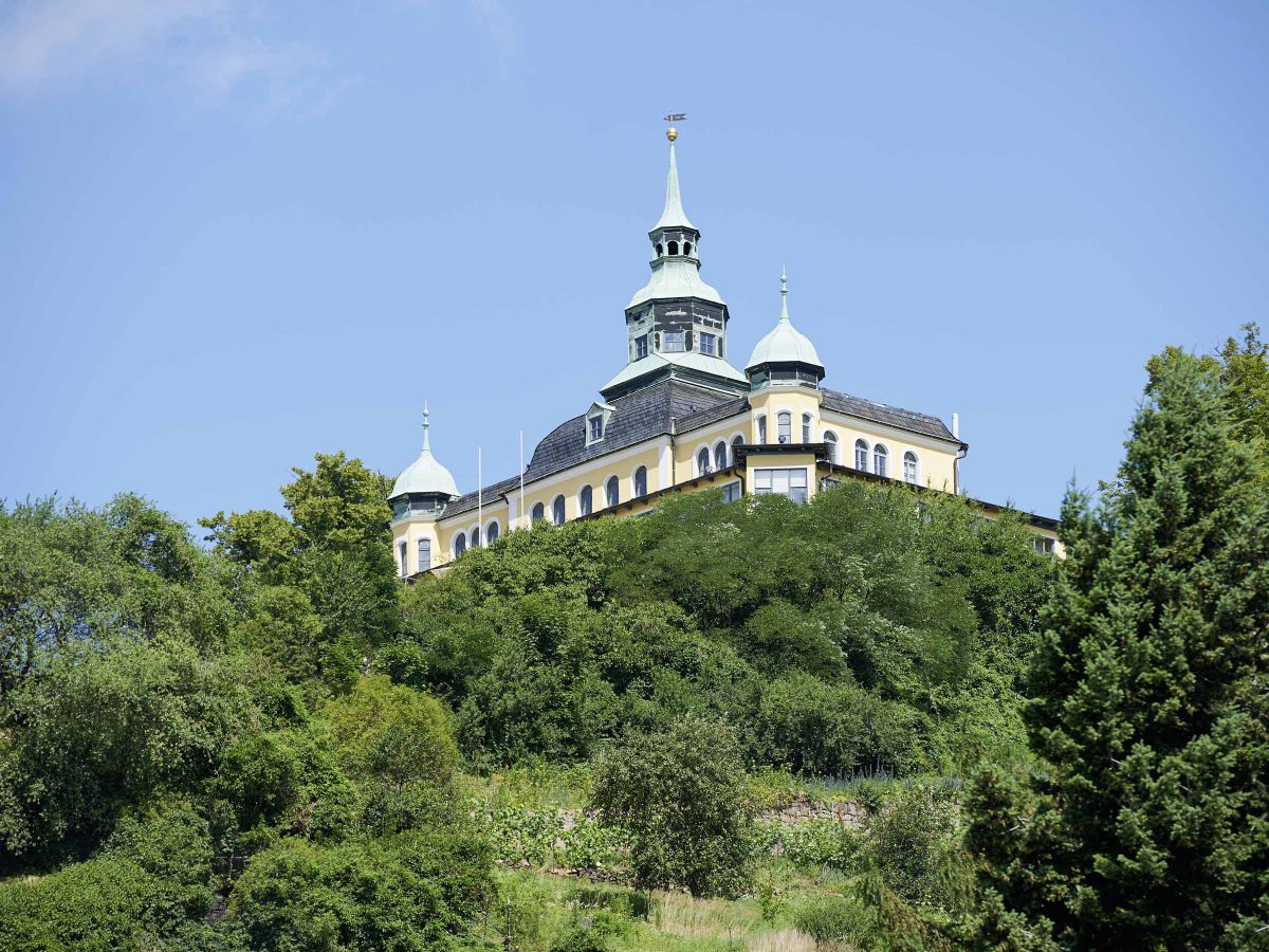 das Spitzhaus - Restaurant in Radebeul