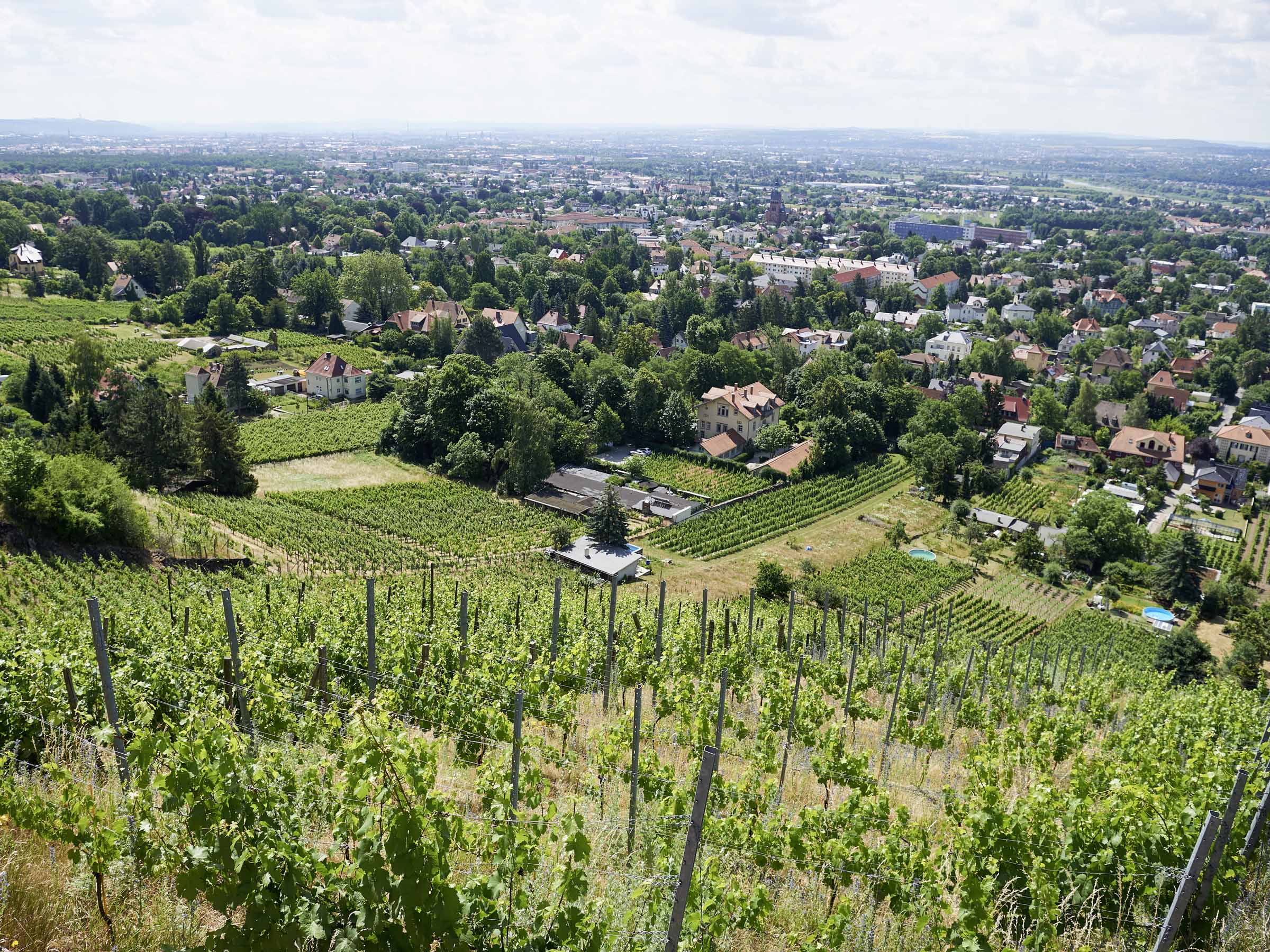 Blick über Radebeul Richtung Sächsische Schweiz