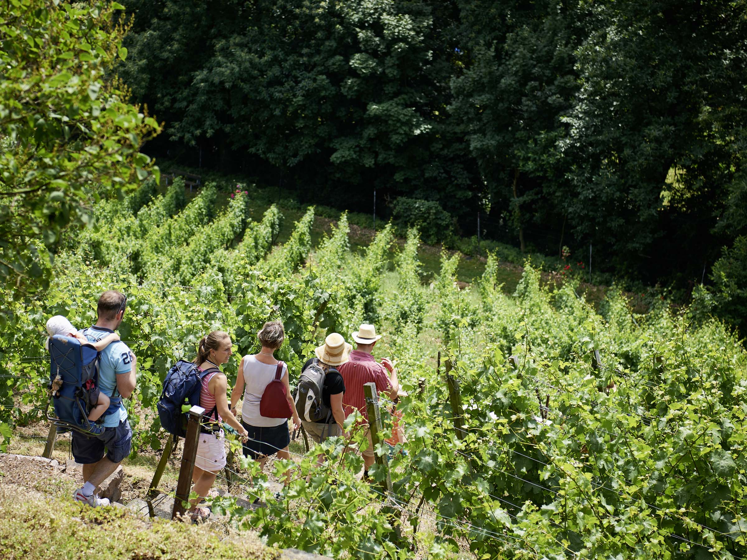 Wanderung im Weinberg