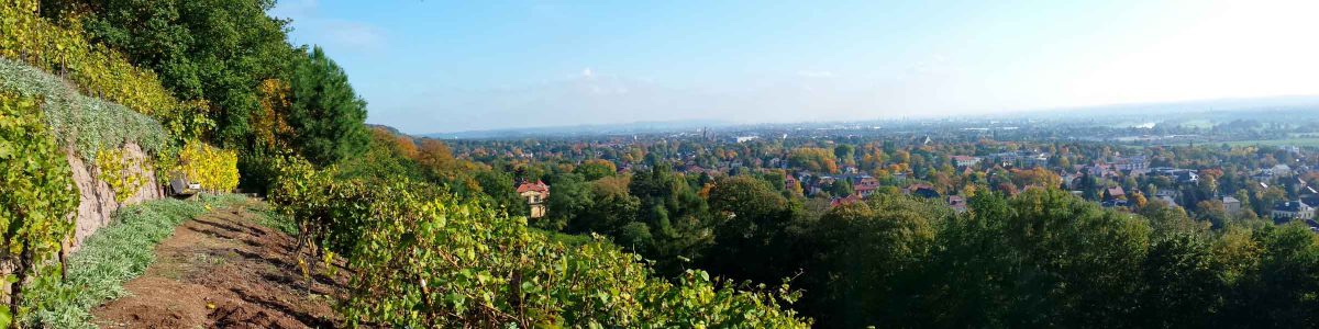 Blick in Richtung Dresden