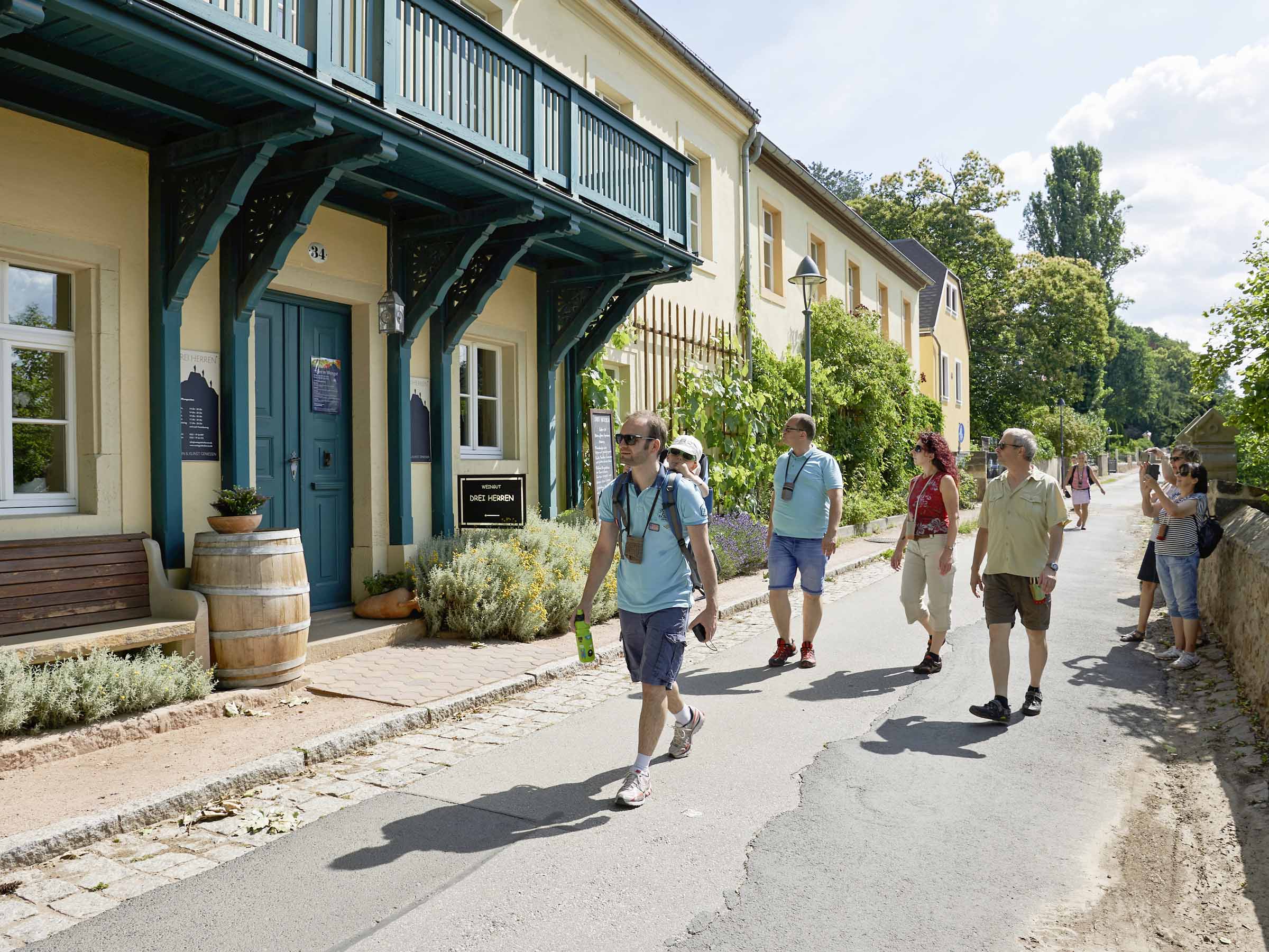 am Weingut Drei Herren