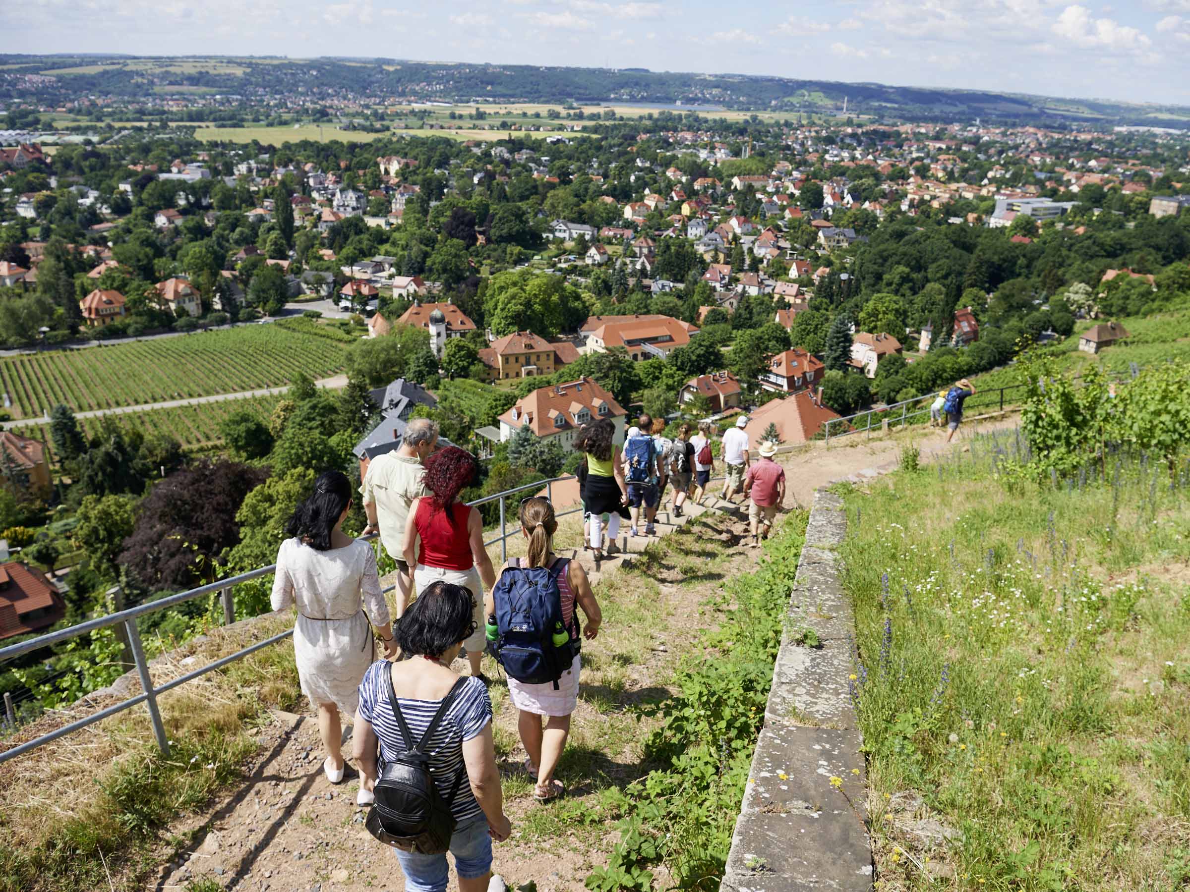 Blick Richtung Schloss Hoflößnitz